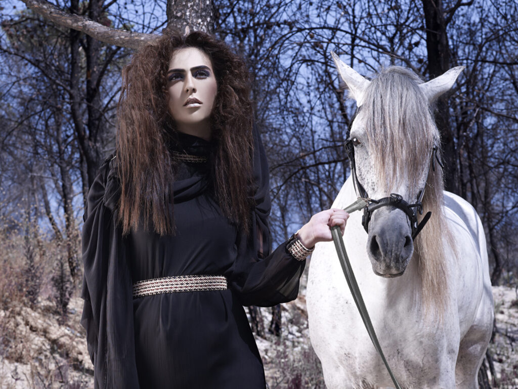 El Bosque 33 1024x769